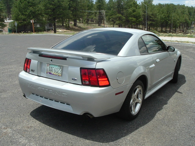 Name:  mustang 003.jpg
Views: 124
Size:  124.0 KB