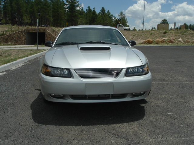 Name:  mustang 004.jpg
Views: 126
Size:  124.3 KB