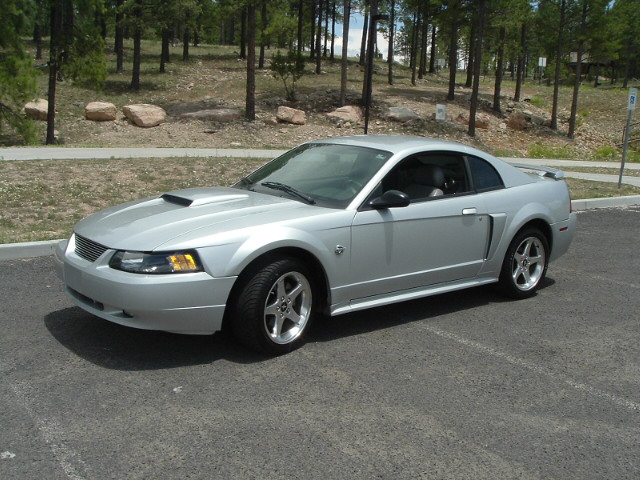 Name:  mustang 005.jpg
Views: 132
Size:  125.0 KB