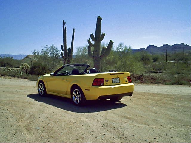 Name:  Sunday trip to superstition mountains 005_edited.jpg
Views: 121
Size:  52.7 KB